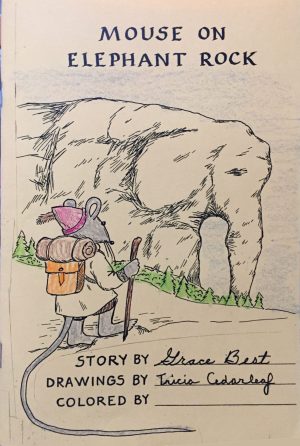 Jeremiah Mouse Adventures: Mouse on Elephant Rock, Book 1